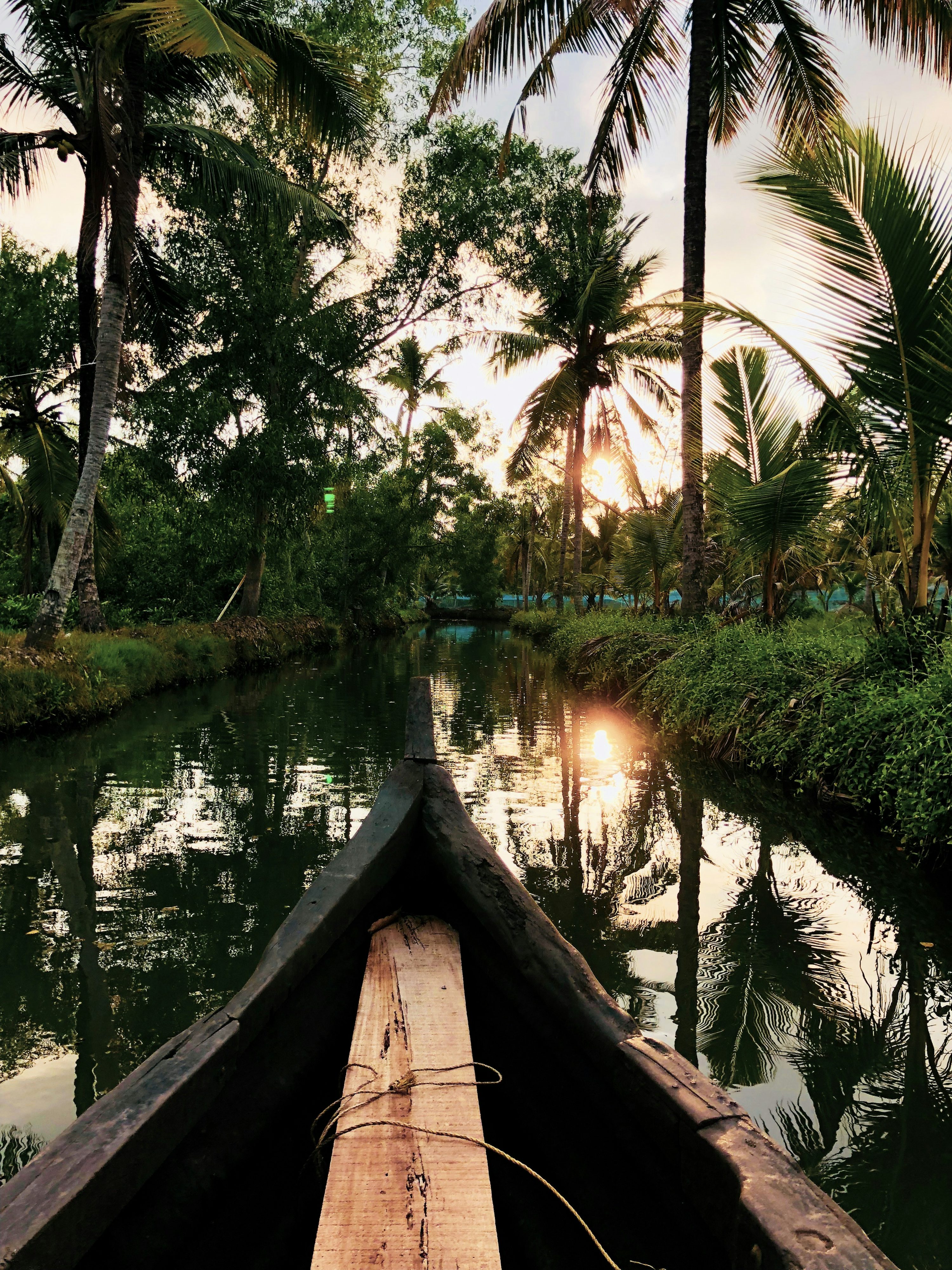 Kerala - Backwaters and tea plantations in God's own country